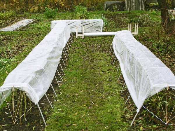 Preparing for the winter period
