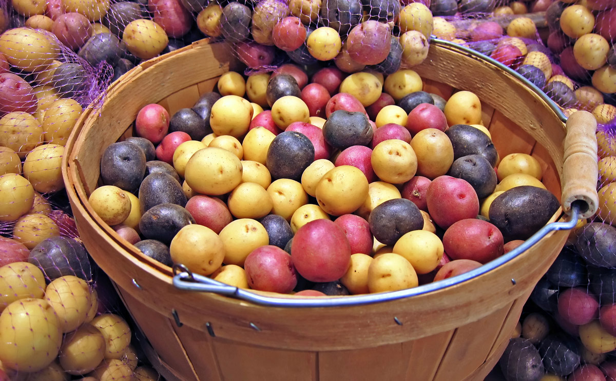 Le varietà di patate sono diverse